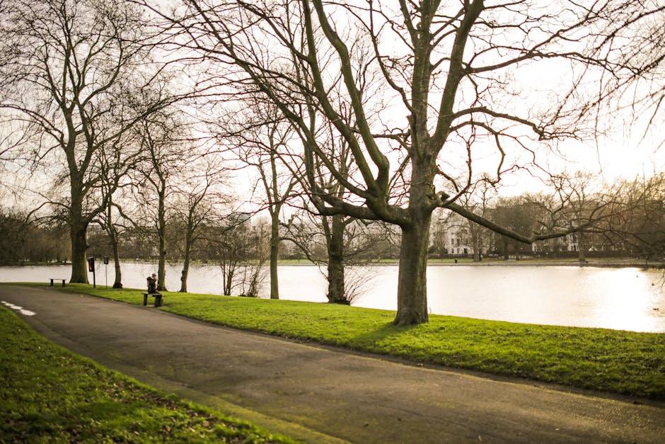 A pathway in Valentines Park with a paved walking trail bordered by green grass and leafless trees, some with large trunks and spreading branches, situated beside a calm lake with reflective water. In